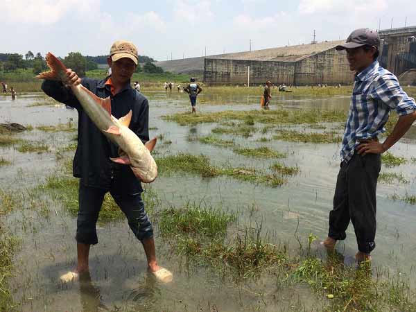 Mơ thấy bắt cá đánh con gì trúng lớn?