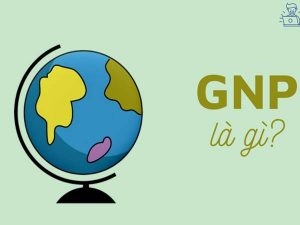 GNP là gì? Chia sẻ về cách tính và phân loại GPN hiện nay