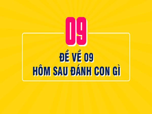 Đề về 09 hôm sau đánh con gì số mấy may mắn dễ trúng