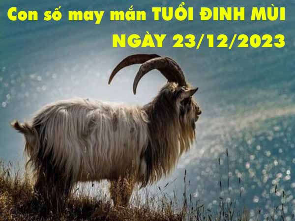 Dự đoán con số may mắn tuổi Đinh Mùi ngày 23/12/2023