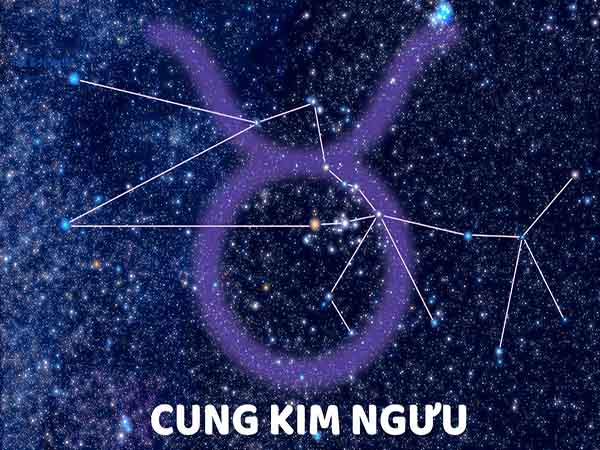 Vài nét về tử vi cung Kim Ngưu hôm nay ngày 2/3/2025 chủ nhật