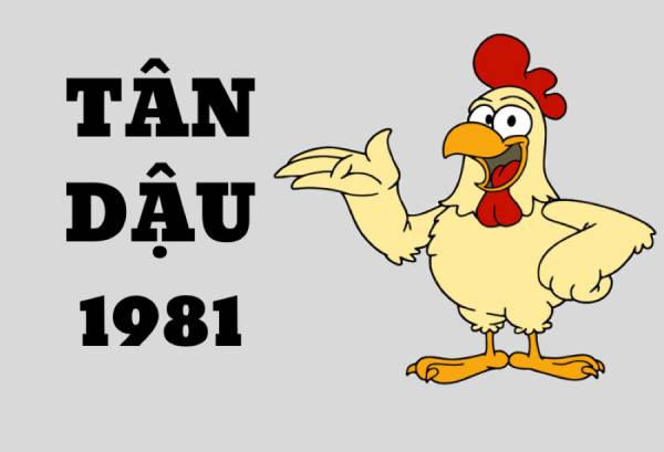 Tuổi Tân Dậu 1981 hợp với số nào giúp hóa giải vận hạn?