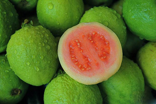 Ngủ mơ thấy quả ổi có phải điềm báo xui xẻo sắp tới?