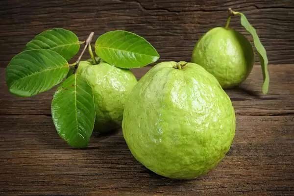 Ngủ mơ thấy quả ổi có phải điềm báo xui xẻo sắp tới?