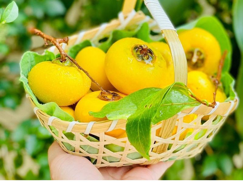 Chiêm bao thấy quả thị điềm báo cơ hội hay thách thức?