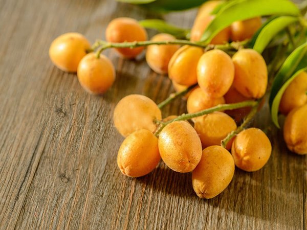Chiêm bao thấy quả quất hồng bì ẩn ý điều gì?