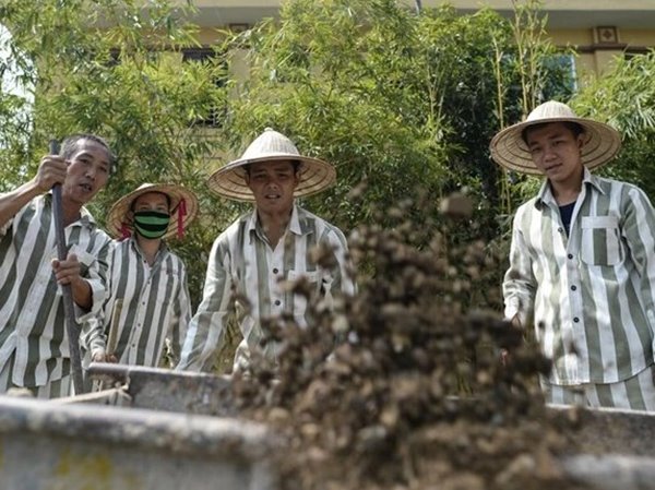 Chiêm bao thấy tù nhân có phải điềm xui?