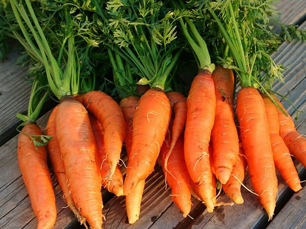 Mơ thấy củ cà rốt là may mắn hay vận xui tìm đến?