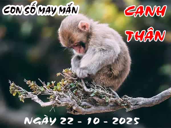 Con số may mắn tuổi Canh Thân ngày 22/10/2025 thứ 4 hôm nay
