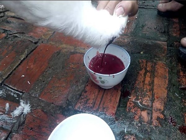 Bí ẩn giấc mơ thấy cắt tiết vịt là tốt hay xấu, số gì may