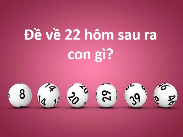 Lộ bí kíp khi đề về 22 hôm sau ra con gì hốt tài lộc